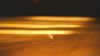 Filename=nyily202.jpg
Filesize=44KB
Dimensions=1280x720
Date added=Feb 17, 2010 nyily202.jpg