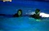 Filename=bts36.jpg
Filesize=18KB
Dimensions=421x268
Date added=Jun 26, 2005 bts36.jpg